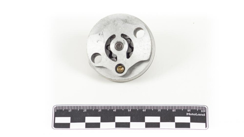 Насос масляный 161QMK