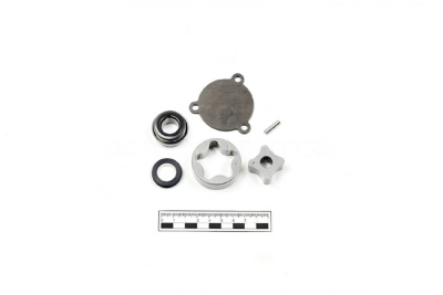 Ремкомплект маслонасоса ZS177MM